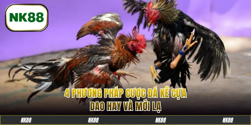 4 phương pháp cược đá kê cựa dao hay và mới lạ