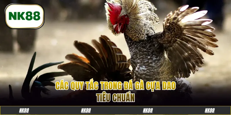 Các quy tắc trong đá gà cựa dao tiêu chuẩn