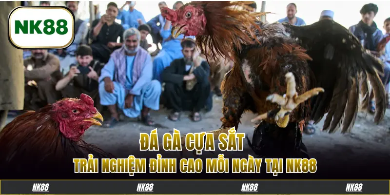 đá gà cựa sắt