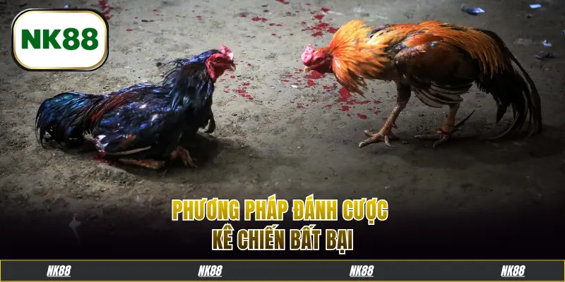 Phương pháp đánh cược kê chiến bất bại