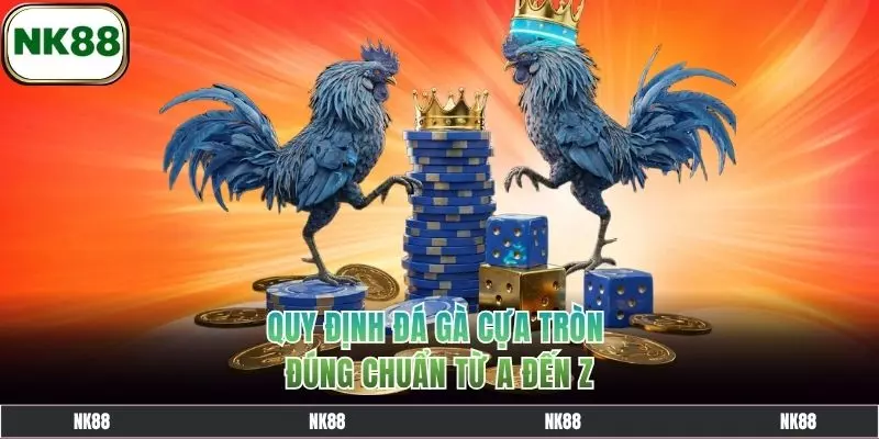 Quy định đá gà cựa tròn đúng chuẩn từ A đến Z