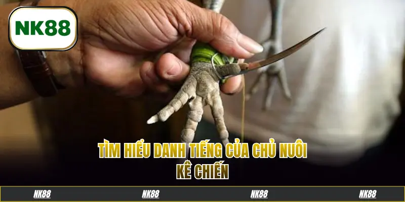 Tìm hiểu danh tiếng của chủ nuôi kê chiến