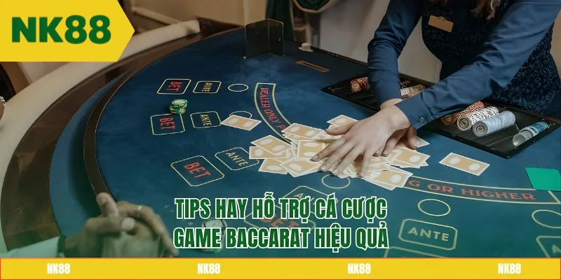Tips hay hỗ trợ cá cược game Baccarat hiệu quả