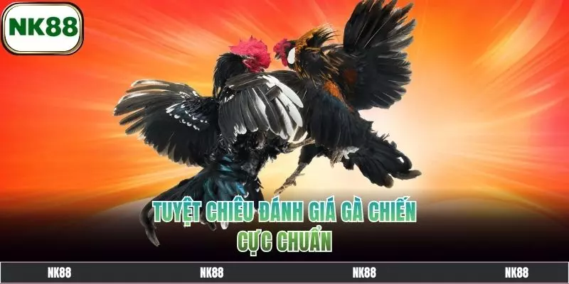 Tuyệt chiêu đánh giá gà chiến cực chuẩn